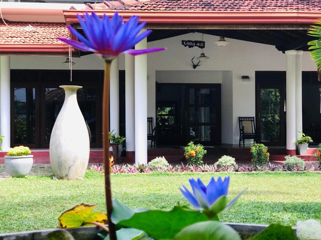 Villa 45 - Balapitiya Dış mekan fotoğraf